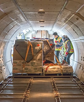 Some workers inside an airplane